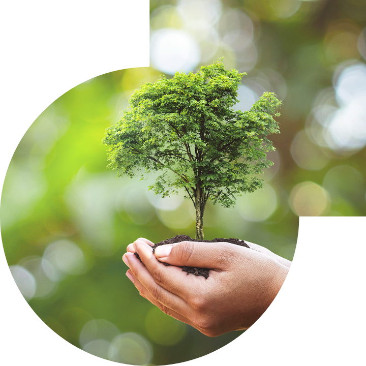 关怀人类、文化、环境与社会